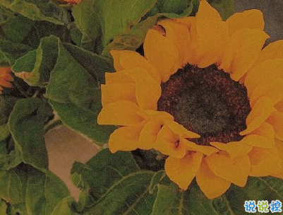 最新早安暖心話給老婆 早安我的老婆大人1