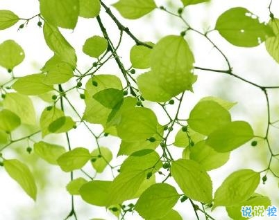 經(jīng)典語錄簡短一句話 致自己的經(jīng)典短句1