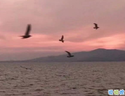 八字朋友圈說說傷感 再也等不到的人8字說說2