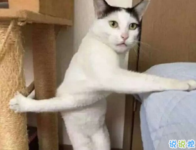 笑到停不下來的沙雕句子 2020最火沙雕說說合集2