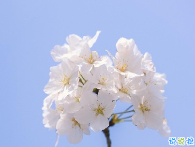 非常浪漫的表白句子帶圖片 最美的情話說給最愛的人聽14