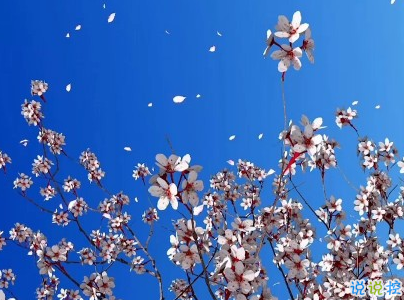 非常浪漫的表白句子帶圖片 最美的情話說給最愛的人聽7