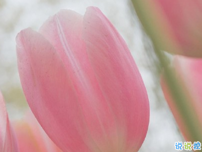 非常浪漫的表白句子帶圖片 最美的情話說給最愛的人聽6