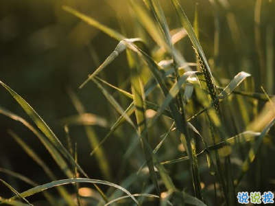 暖心美好微信句子帶圖片 特別美好的小句子7