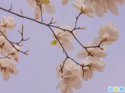 暖心美好微信句子帶圖片 特別美好的小句子10