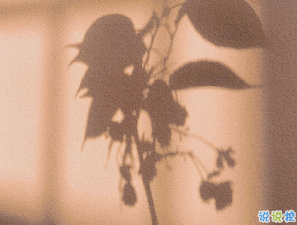 最新微信說說傷感走心 容易引起共鳴的傷感文案1