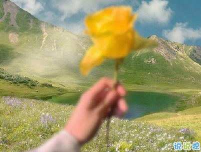 2020朋友圈勵(lì)志語(yǔ)錄 陽(yáng)光這么好別辜負(fù)了今天2