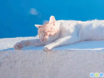 2020朋友圈勵(lì)志語(yǔ)錄 陽(yáng)光這么好別辜負(fù)了今天1