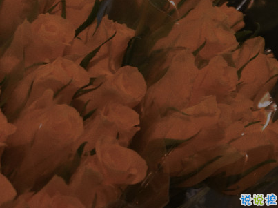 對喜歡的人說一句話 有點傷感心酸的愛情句子1