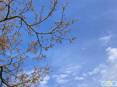 2020年勵(lì)志的句子寫(xiě)給自己 讓人感悟很深的勵(lì)志句子1