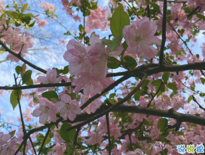 2020年勵(lì)志的句子寫(xiě)給自己 讓人感悟很深的勵(lì)志句子2