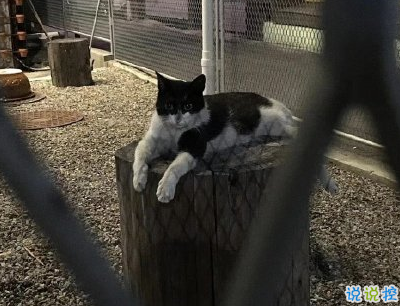 生活中三觀很歪的話(huà)帶圖片 我開(kāi)個(gè)玩笑你怎么當(dāng)真了8