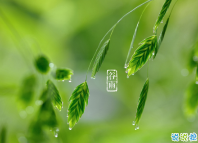 2020谷雨節(jié)氣唯美說說配圖 谷雨祝福唯美暖人心4