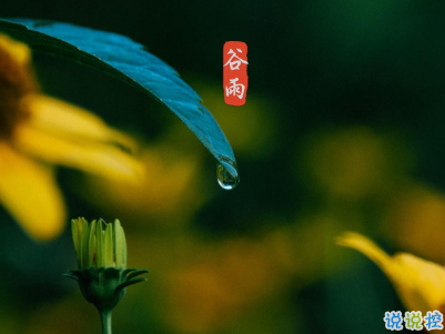 2020谷雨節(jié)氣唯美說說配圖 谷雨祝福唯美暖人心3