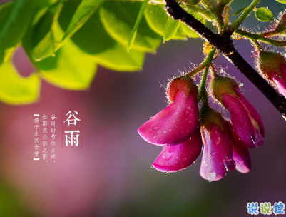 2020谷雨節(jié)氣唯美說說配圖 谷雨祝福唯美暖人心10