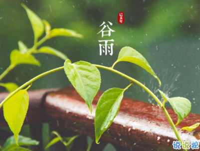 2020谷雨節(jié)氣唯美說說配圖 谷雨祝福唯美暖人心12