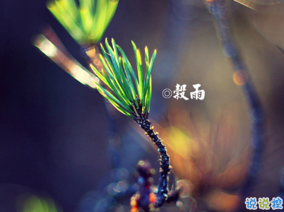 2020谷雨節(jié)氣唯美說說配圖 谷雨祝福唯美暖人心13