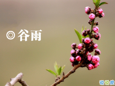 2020谷雨節(jié)氣唯美說說配圖 谷雨祝福唯美暖人心15