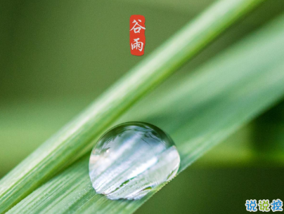 2020谷雨節(jié)氣唯美說說配圖 谷雨祝福唯美暖人心1