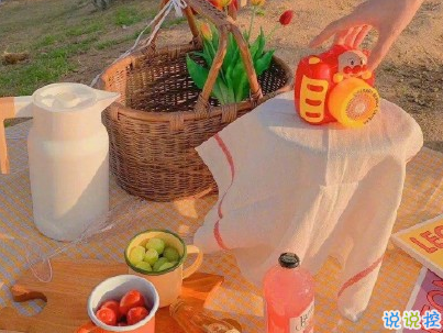 春游野炊的說說帶圖片 適合周野餐發(fā)朋友圈的句子11