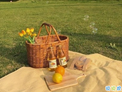 春游野炊的說說帶圖片 適合周野餐發(fā)朋友圈的句子9