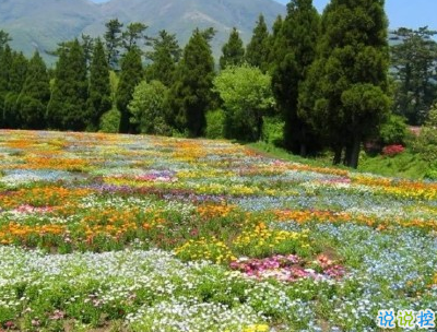 春游野炊的說說帶圖片 適合周野餐發(fā)朋友圈的句子13