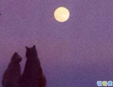 經(jīng)典勵(lì)志內(nèi)涵說說大全 幸運(yùn)的人從來不是我所以要努力1