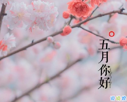 2020迎接五月的心情短語(yǔ) 五月治愈系經(jīng)典語(yǔ)錄2