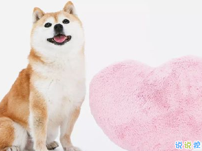 比較委婉深情的表白句子 表白情話合集超級暖心2