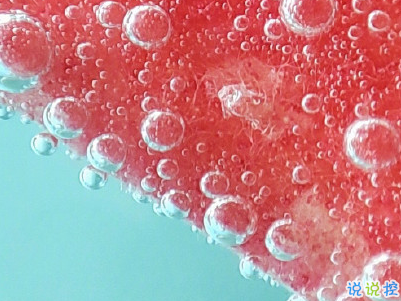 夏天心情說說個性句子 文藝風(fēng)夏日文案帶圖片13