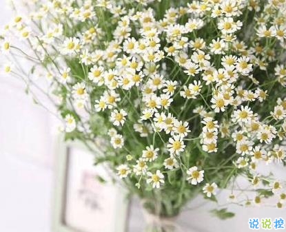 五月全新勵志說說2020 5月你好陽光充滿力量的句子1