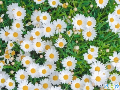 加油勵(lì)志小短句帶圖片 好好加油可愛句子10