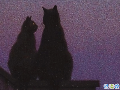 加油勵(lì)志小短句帶圖片 好好加油可愛句子13