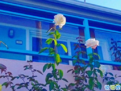 表達濃濃愛意的句子 暖心有愛的溫柔說說2