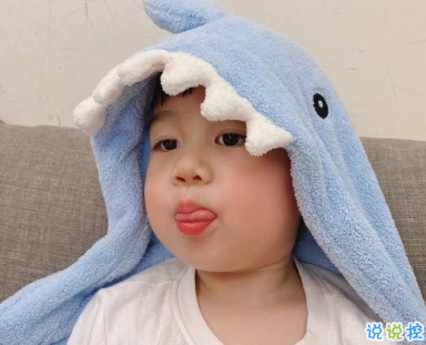 沙雕搞笑幽默文案 發(fā)qq空間的沙雕說說1