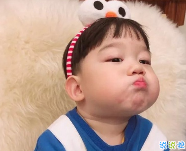 沙雕搞笑幽默文案 發(fā)qq空間的沙雕說說2