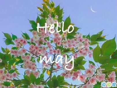 五月你好朋友圈文案帶圖片 2020年已過去三分之一的說說1