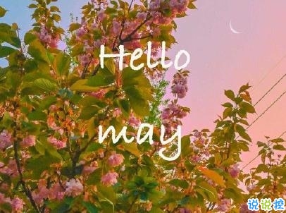 五月你好朋友圈文案帶圖片 2020年已過去三分之一的說說2