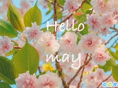 五月你好朋友圈文案帶圖片 2020年已過去三分之一的說說3