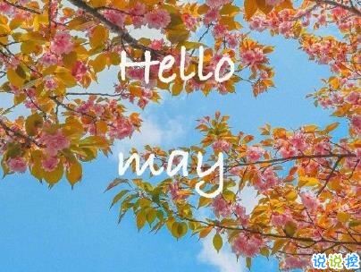 五月你好朋友圈文案帶圖片 2020年已過去三分之一的說說5