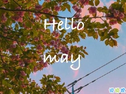 五月你好朋友圈文案帶圖片 2020年已過去三分之一的說說8