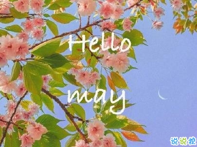 五月你好朋友圈文案帶圖片 2020年已過去三分之一的說說9