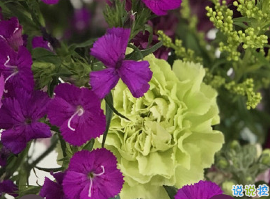 2020母親節(jié)朋友圈文案 母親節(jié)說說文藝經(jīng)典2