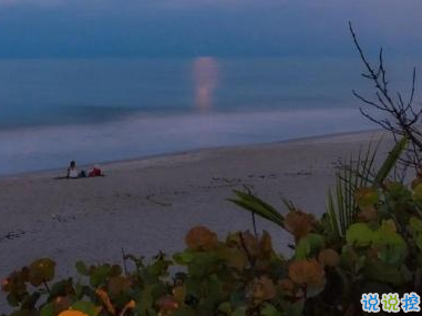 微博傷感愛情說說帶圖片 心里有傷的難過句子3