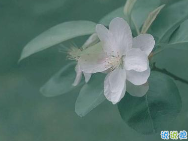 微博傷感愛情說說帶圖片 心里有傷的難過句子10