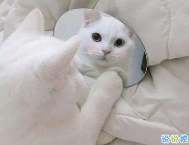 笑到抽筋的皮句子 讓人開心的幽默句子1