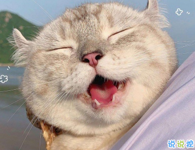 笑到抽筋的皮句子 讓人開心的幽默句子2