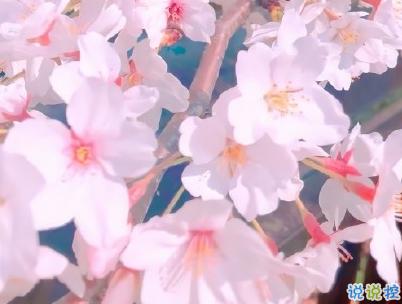 母親節(jié)微信小句子帶圖片 為媽媽慶祝母親節(jié)的經(jīng)典說說14