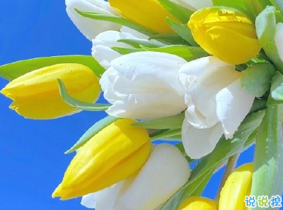 母親節(jié)微信小句子帶圖片 為媽媽慶祝母親節(jié)的經(jīng)典說說13