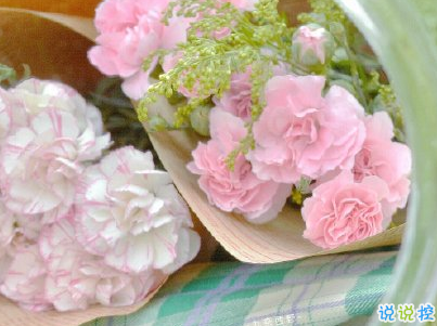 母親節(jié)微信小句子帶圖片 為媽媽慶祝母親節(jié)的經(jīng)典說說6